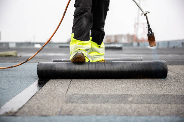 Best Roof Coating Services  in Natalia, TX