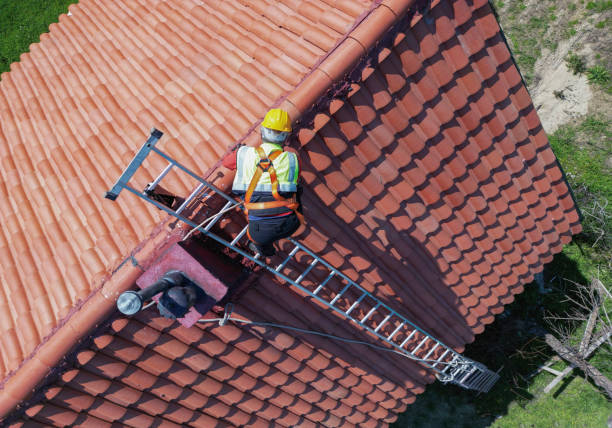 Best Emergency Roof Repair Services  in Natalia, TX