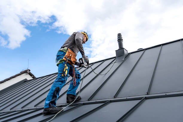 Best Metal Roofing Installation  in Natalia, TX