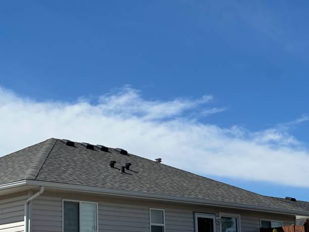 Best Gutter Installation and Repair  in Natalia, TX